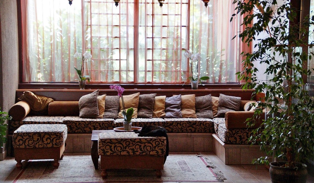 Low Maintenance Indoor Plants for Busy Households